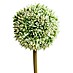 Kunstblume Allium 