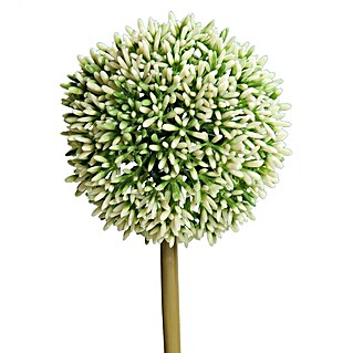 Kunstblume Allium (Creme, 67 cm)