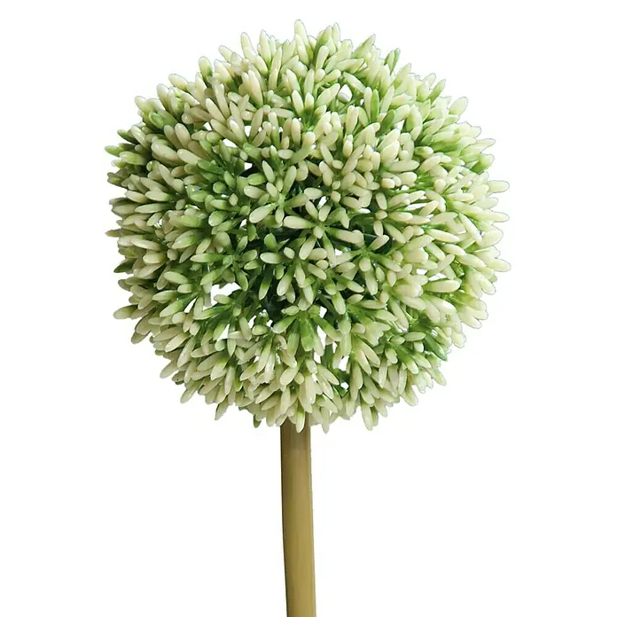 Kunstblume Allium - Creme, 67 cm - Nahaufnahme einer Alliumblüte auf einem Stiel, ideal für florale Dekorationen und als stilvolles Wohnaccessoire.