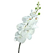 Kunstblume Orchidee (Weiß, 83 cm) | BAUHAUS