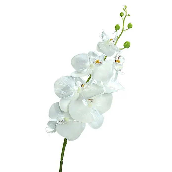 Kunstblume Orchidee - Weiß, 83 cm - Nahaufnahme einer eleganten weißen Orchidee mit zarten Blüten und grünen Knospen, die auf einem tiefschwarzen Hintergrund kontrastieren.