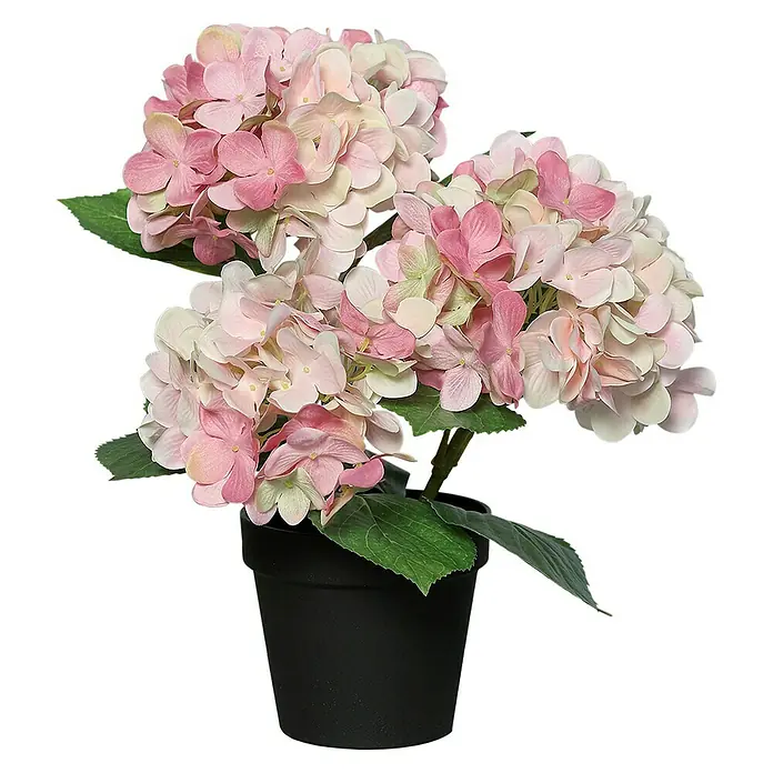Kunstblume Hortensie - Rosé, 35 cm - Künstliche rosa Hortensien in einem schwarzen Topf. Die Blütenköpfe sind üppig und detailreich gestaltet und wirken sehr realistisch.