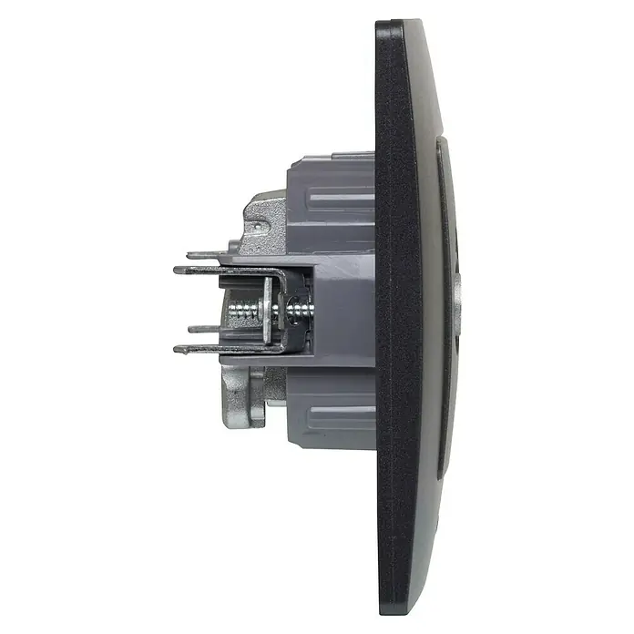 Legrand Niloé Monoblock Pieza insertada para caja de antena Final - x 2, Negro - Primer plano de un control de interruptor inteligente, mostrando su diseño y detalles técnicos, perfecto para un hogar moderno.