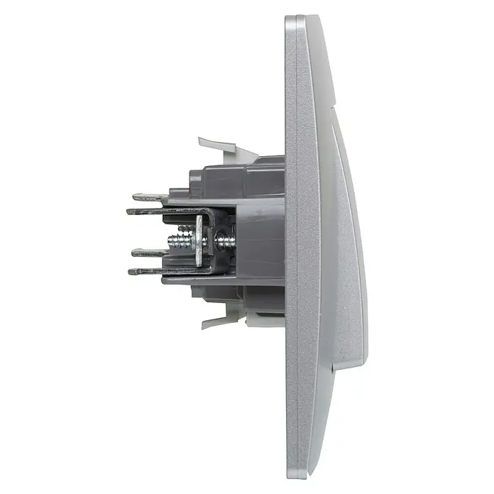 Legrand Niloé Monoblock Pulsador - Plateado, Montaje en la pared, 6 A - Vista lateral de un interruptor de luz plateado. Muestra la estructura y los elementos de montaje del interruptor con tornillos y contactos.
