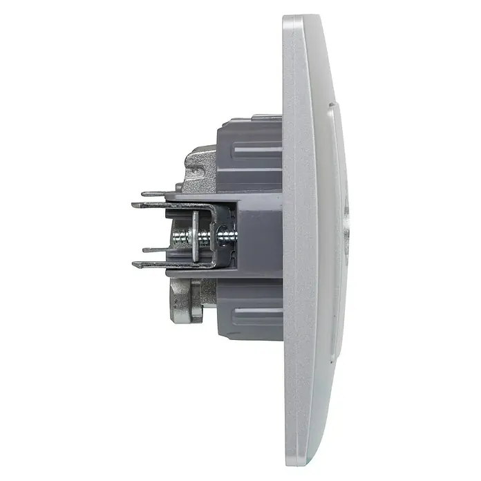 Legrand Niloé Monoblock Pieza insertada para caja de antena Intermedia - x 2, Plateado - Primer plano de un enchufe eléctrico plateado desde el lateral, mostrando los detalles de construcción y los conectores.