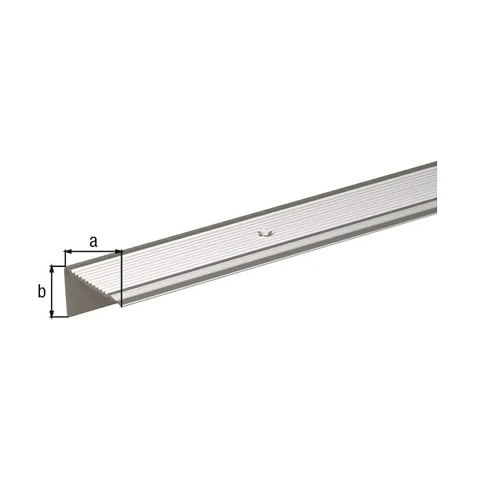 Alberts Perfil angular - 2.000 x 45 x 23 mm, Plateado - Perfil con dimensiones a y b, ideal para suelos. El perfil plateado proporciona una transición limpia y protege los bordes.