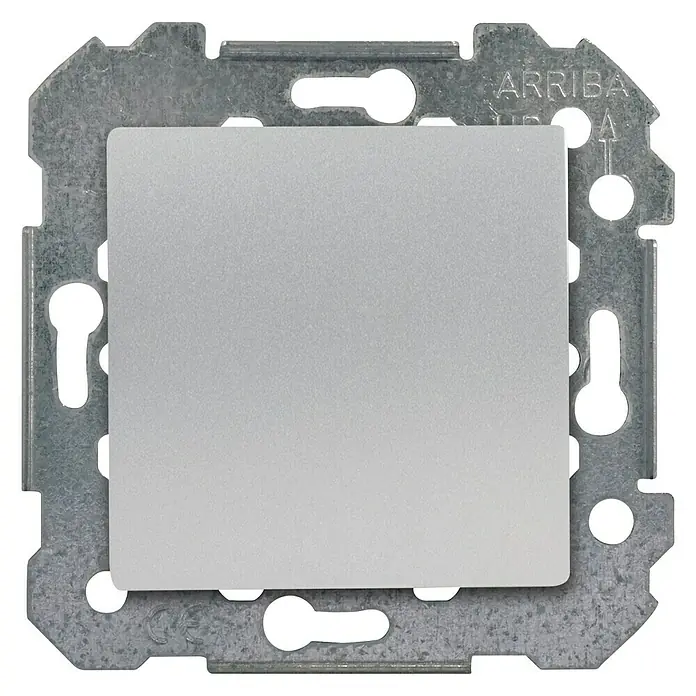 BJC Viva Conmutador - Plateado, Mate, Montaje en la pared - Primer plano de un interruptor con una placa frontal plateada rodeada por un soporte de montaje metálico.