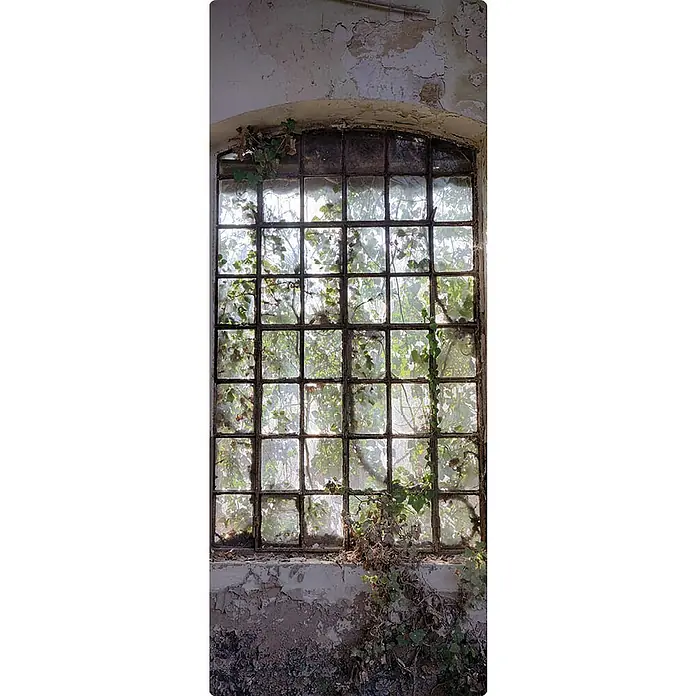 SanDesign Duschrückwandmuster Lost Place Big Window - 17,5 cm x 7 cm x 8 mm, Landschaft & Stadt - Altes, verlassenes Fenster mit Pflanzen, die durch das Glas wachsen. Rustikale Details und verwitterte Texturen schaffen eine einzigartige Atmosphäre.