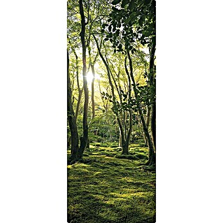 SanDesign Duschrückwandmuster Sunny Forest (17,5 cm x 7 cm x 8 mm, Natur)