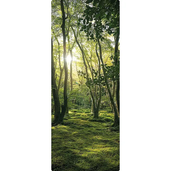 SanDesign Duschrückwandmuster Sunny Forest - 17,5 cm x 7 cm x 8 mm, Natur - Grüne Waldlandschaft mit Bäumen, Moos und Sonnenlicht. Die friedliche Szene zeigt die ruhige Schönheit der Natur mit üppigem Grün.