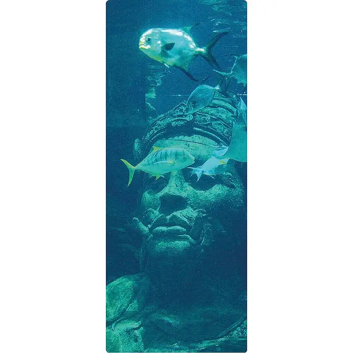 SanDesign Duschrückwandmuster Underwater World - 17,5 cm x 7 cm x 8 mm, Wasser - Nahaufnahme eines Unterwasserbildes einer Statue mit Fischen, die im Ozean schwimmen, das für ein Aquarium-Thema geeignet ist.