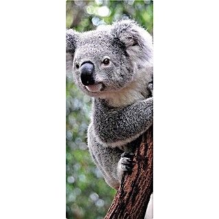SanDesign Duschrückwandmuster (17,5 cm x 7 cm x 3 mm, Cute Koala)