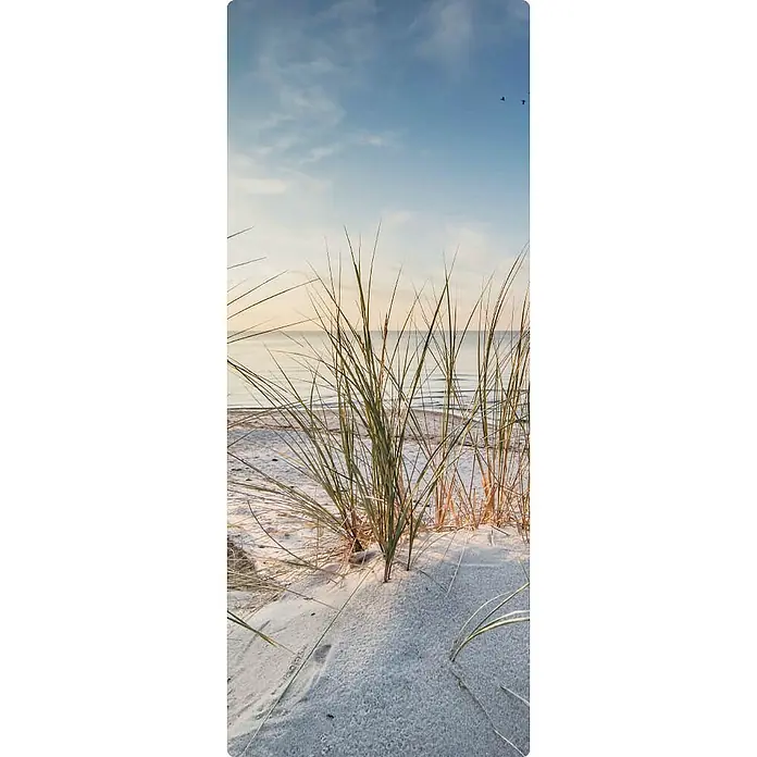 SanDesign Duschrückwandmuster - 17,5 cm x 7 cm x 3 mm, Nordsee Düne 2 - Dieses Bild zeigt Strandhafer, der im weichen Sand an der Küste wächst, mit einem ruhigen blauen Himmel im Hintergrund.