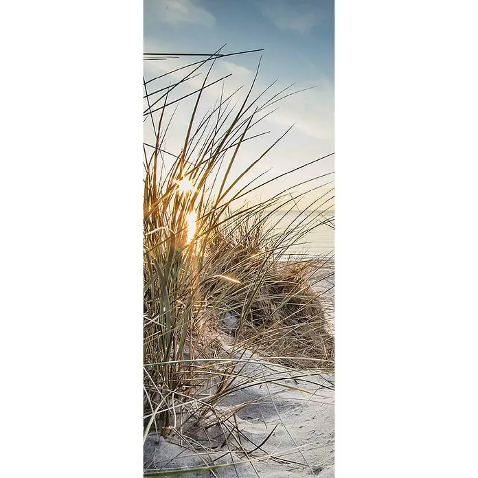 SanDesign Duschrückwandmuster - 17,5 cm x 7 cm x 3 mm, Nordsee Düne 1 - Nahaufnahme von Dünengras im goldenen Licht der untergehenden Sonne, das eine ruhige und natürliche Szene hervorruft.