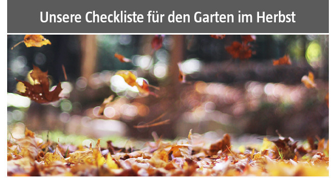 Checkliste für den Garten im Herbst