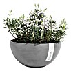 Ecopots Brussels Pflanzschale rund Brussels (Außenmaß (Ø x H): 30 x 14,8 cm, Kunststoff, Grau) | BAUHAUS