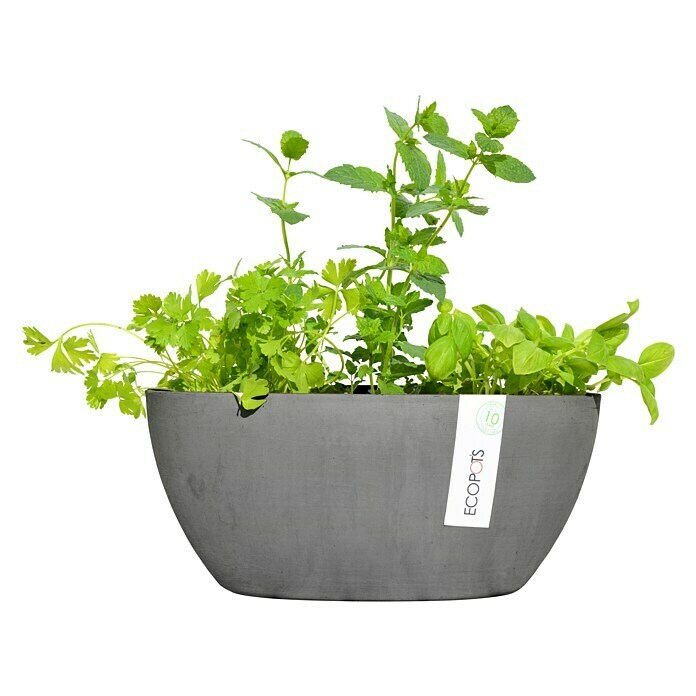 Ecopots Sofia Pflanzschale Oval (L x B x H: 30 x 13 x 13,5 cm, Grau) | BAUHAUS