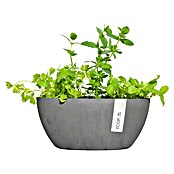 Ecopots Sofia Pflanzschale Oval (L x B x H: 30 x 13 x 13,5 cm, Grau) | BAUHAUS