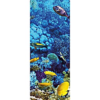 SanDesign Duschrückwandmuster Coral Reef (17,5 cm x 7 cm x 8 mm, Wasser)