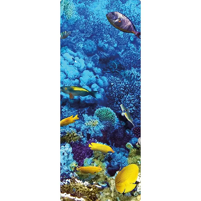 SanDesign Duschrückwandmuster Coral Reef - 17,5 cm x 7 cm x 8 mm, Wasser - Unterwasseraufnahme von Korallenriffen mit verschiedenen Fischen in leuchtenden Farben.