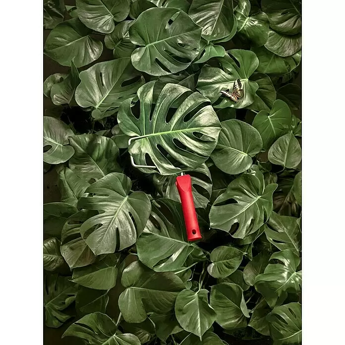 SCHÖNER WOHNEN-Farbe Wandfarbe Trendfarbe - Jungle, Matt, 2,5 l, Konservierungsmittelfrei - Stimmungsaufnahme