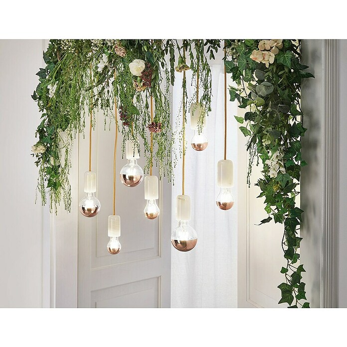 Paulmann Bombilla LED (E27, Blanco cálido, Claro/Cobre, G95, Brillante)