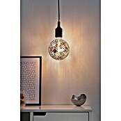 Paulmann LED-Lampe Vintage Globe-Form E27 (E27, Dimmbar, Warmweiß, 470 lm, 5 W, Farbe: Schwarz) | BAUHAUS