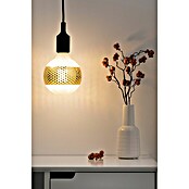 Paulmann LED-Lampe Vintage Globe-Form E27 (E27, Dimmbar, Warmweiß, 420 lm, 4,5 W, Farbe: Gold) | BAUHAUS