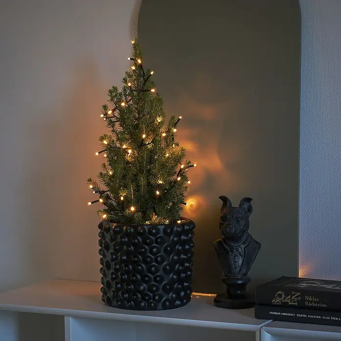 Konstsmide LED-Lichterkette - Innen, Lichtfarbe: Bernstein, Anzahl Leuchtmittel: 400 Stk., Netzbetrieben - Dekorativer, beleuchteter Weihnachtsbaum im schwarzen Topf neben einer Hunde-Büste und Büchern auf einem Regal. Festliche Dekoration für Ihr Zuhause.