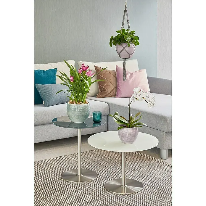 Soendgen Keramik Übertopf rund Manacor Deluxe - Außenmaß (Ø x H): 16 x 13 cm, Flieder, Keramik - Elegantes Wohnzimmerambiente mit trendigen Blumentöpfen, stilvollen Beistelltischen und dekorativen Kissen auf einem grauen Sofa.