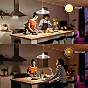 Philips Hue Smart-LED-Lampen Set White (E27, Dimmbar, Warmweiß, 1.600 lm, 15,5 W, 1 Stk.) | BAUHAUS