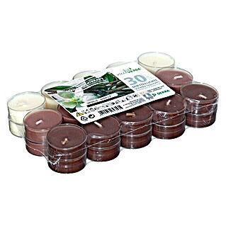 Duft-Teelicht Flatpack (Vanille, 30 Stk.)
