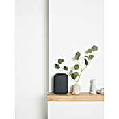 Google Nest Sprachgesteuerter Lautsprecher Audio (Carbon, Netzbetrieben) | BAUHAUS