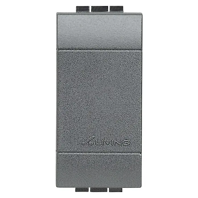 Bticino Living Light Tapa para mecanismo - Antracita, Plástico, Colocar - Primer plano de un interruptor Livinglight gris, que muestra una estética moderna con elegancia funcional.