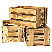 Holzkiste Weinkiste Mini (19 x 34 x 23 cm, Braun) | BAUHAUS