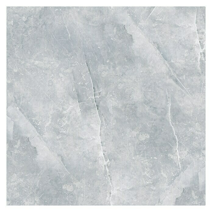 Feinsteinzeugfliese Versilia Argento60 x 60 cm, Grau, Matt Top View