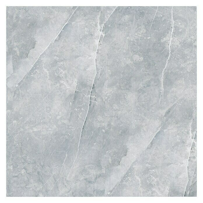 Feinsteinzeugfliese Versilia Argento60 x 60 cm, Grau, Matt Top View