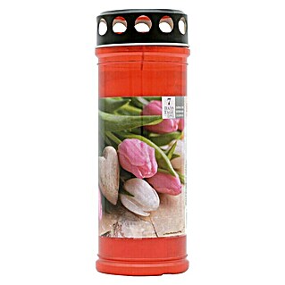 Ilkos Premium Lampion Tulipan (Crvene boje)