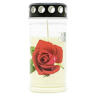 Ilkos Premium Lampion Ruža (Bijele boje)
