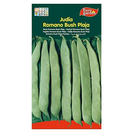 Euro Garden  Semillas de vegetales Judía Romano Bush Plaja