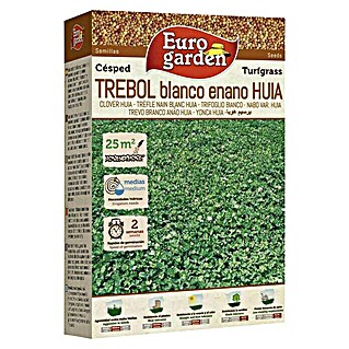 Euro Garden Semillas de césped Trébol blanco (250 g, 25 m²)