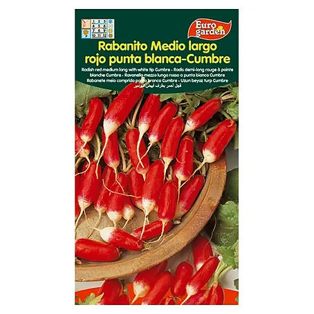 Euro Garden  Semillas de vegetales Rabanito largo de punta blanca