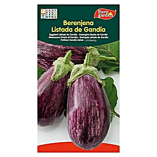 Euro Garden Semillas de vegetales Berenjena listada de Gandía (Cosecha: Junio)