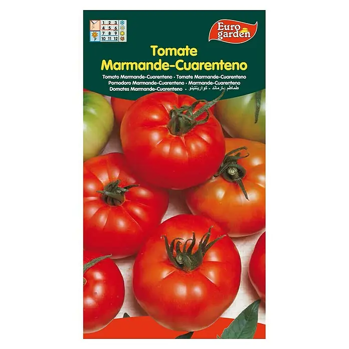 Euro Garden Semillas de vegetales Tomate marmande - Cosecha: Junio - Imagen de un paquete de semillas 'Tomate Marmande-Cuarenteno' de Euro Garden, con tomates rojos maduros.