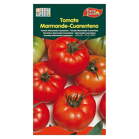 Euro Garden  Semillas de vegetales Tomate marmande