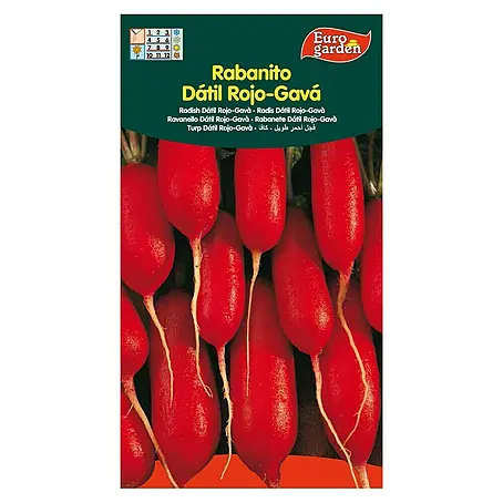 Euro Garden  Semillas de vegetales Rabanito dátil rojo Gavá