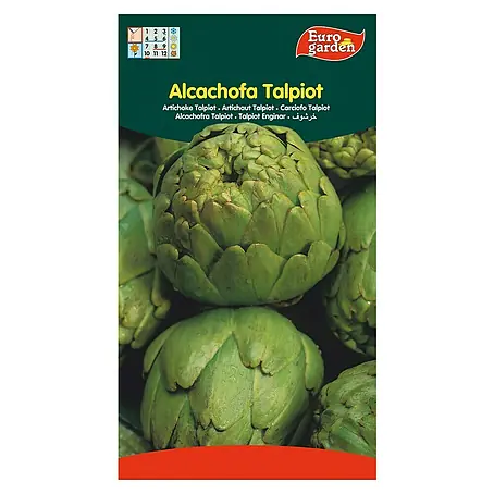 Euro Garden  Semillas de vegetales Alcachofa talpiot