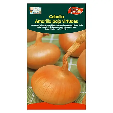 Euro Garden  Bulbos de cebolla Amarilla Paja Virtudes