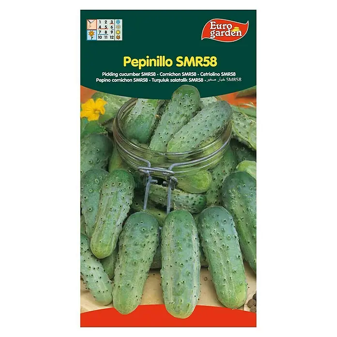 Euro Garden Semillas de vegetales Pepino SMR58 - Cosecha: Junio - Imagen del paquete de semillas Eurogarden Pepinillo SMR58, una variedad de pepinillo para encurtir, mostrando muchos pepinillos verdes y puntiagudos.