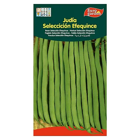 Euro Garden  Semillas de vegetales Judía Efequince